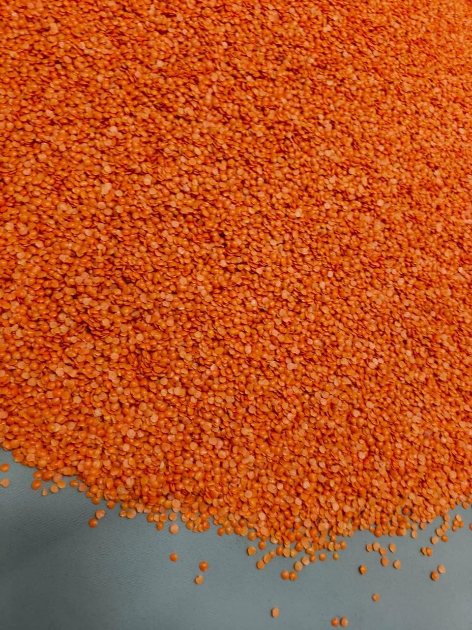 Close-up of split red lentils