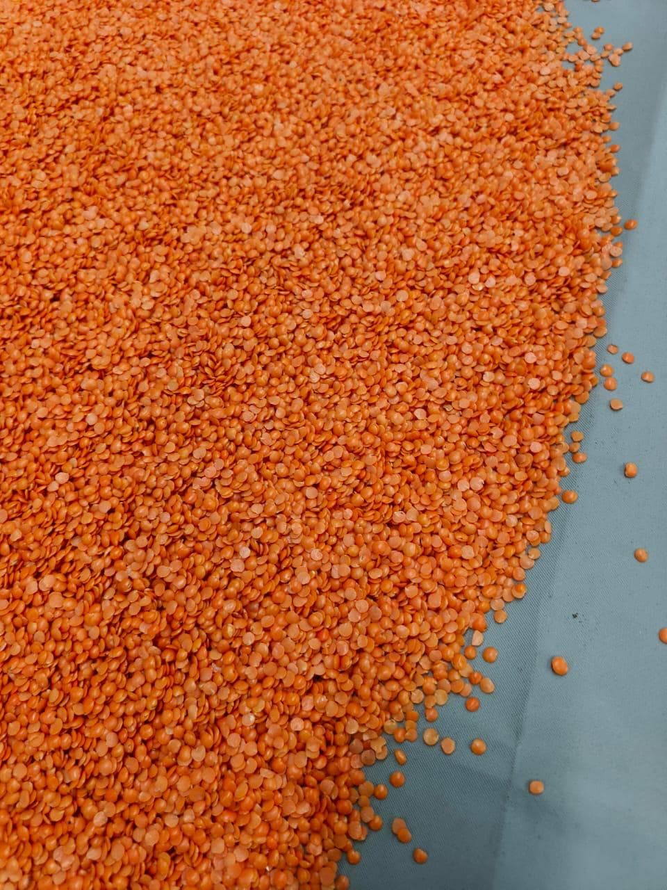 Red lentils spread out