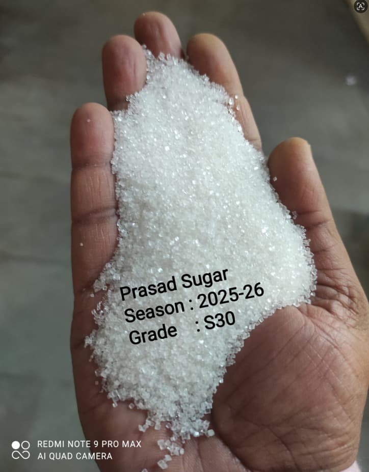 Prasad sugar S30 white crystals in hand