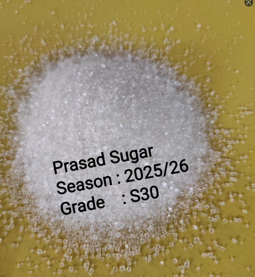 Prasad sugar S30 white crystals close-up